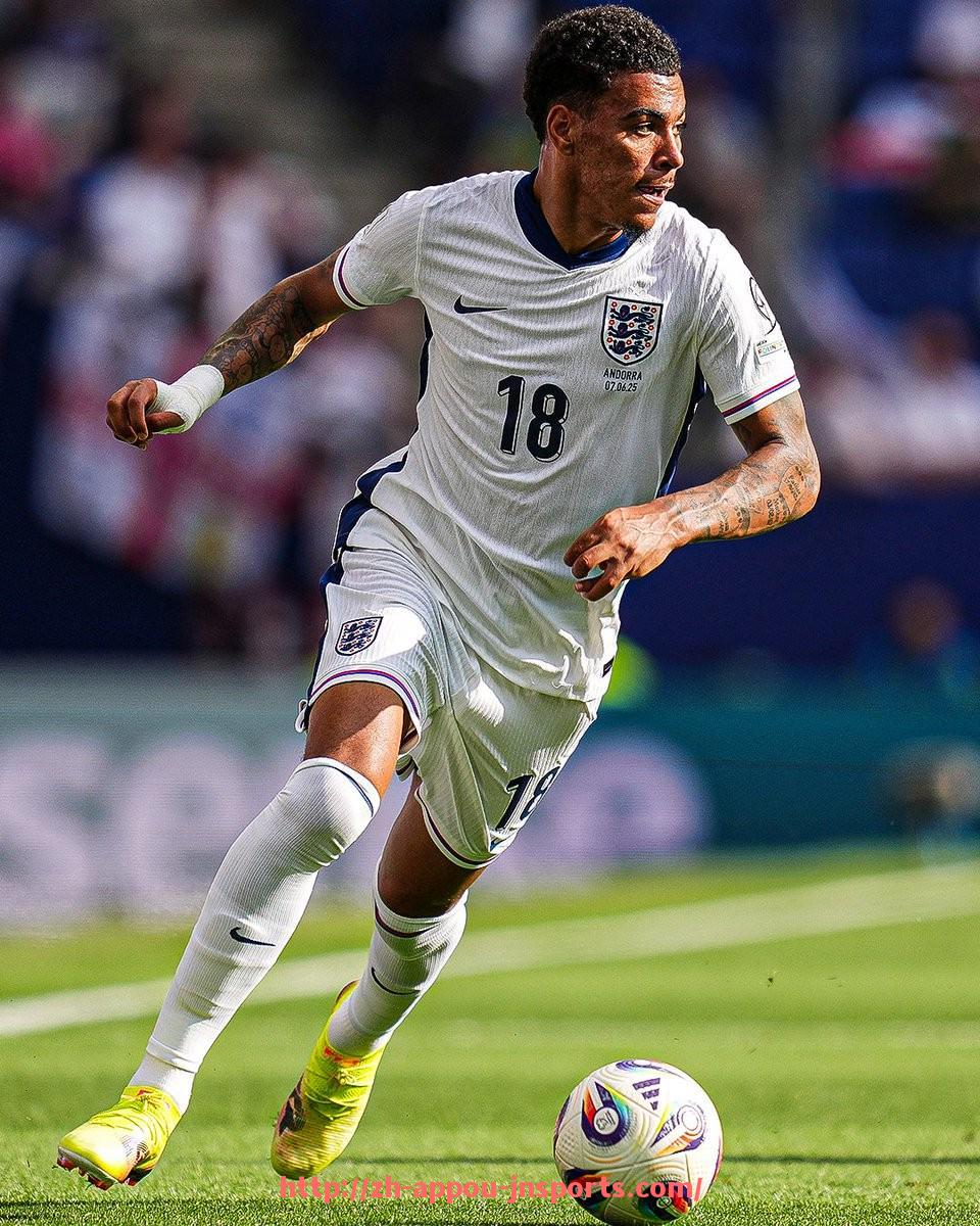 江南体育APP-法甲球队青训体系2024年度数据汇总与成果评估